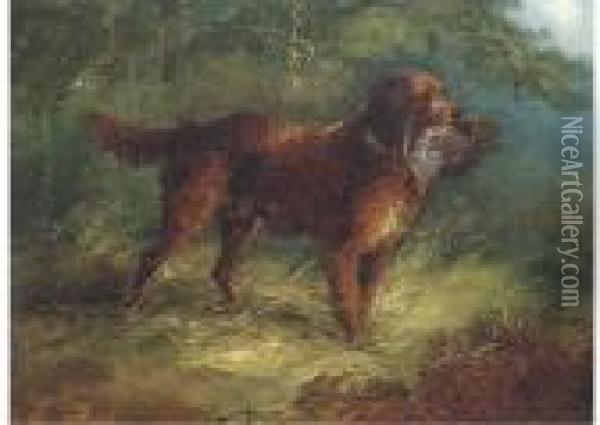 A Gundog With A Grouse Oil Painting - George Armfield