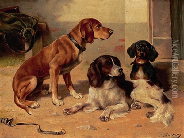 Drei Hunde Im Hof Oil Painting - Carl Reichert
