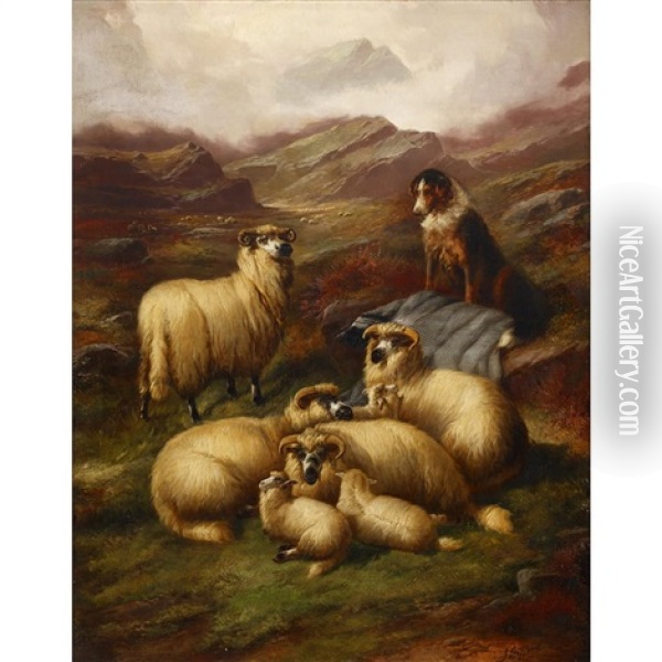 Highland Sheep With Dog Oil Painting - John Gifford