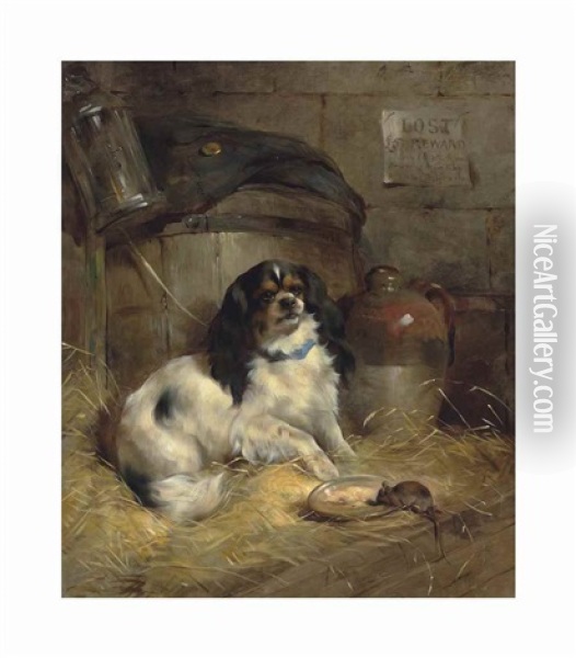 A Cavalier King Charles Spaniel Oil Painting - Edwin Douglas