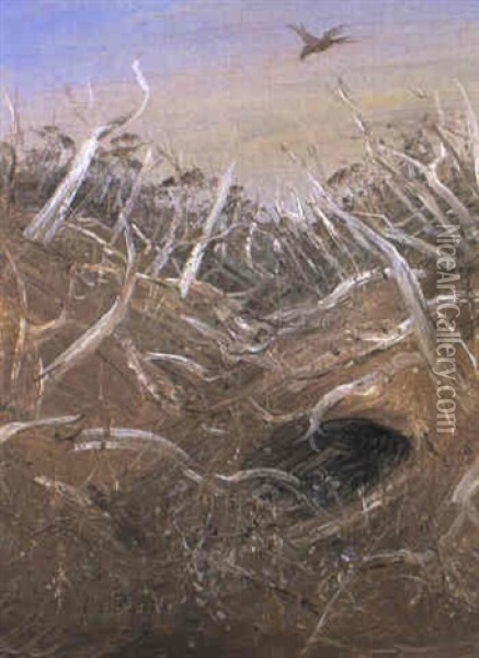Gully And Cockatoo Oil Painting - Arthur Merric Boyd