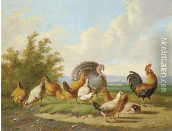 A Turkey And Fowl In A Landscape Oil Painting - Albertus Verhoesen