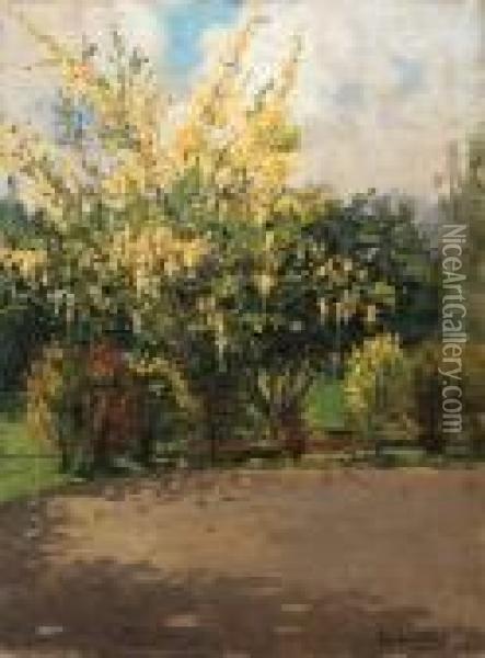 Golden Shower Tree
Signed Oil Painting - Theodore Wores