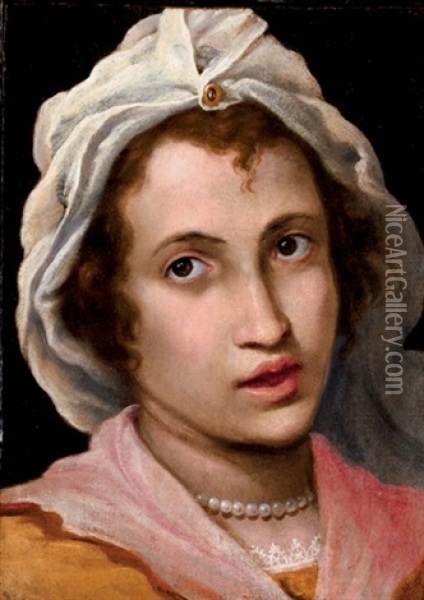 Head Of A Woman Oil Painting - Francesco del Rossi (Salviati)