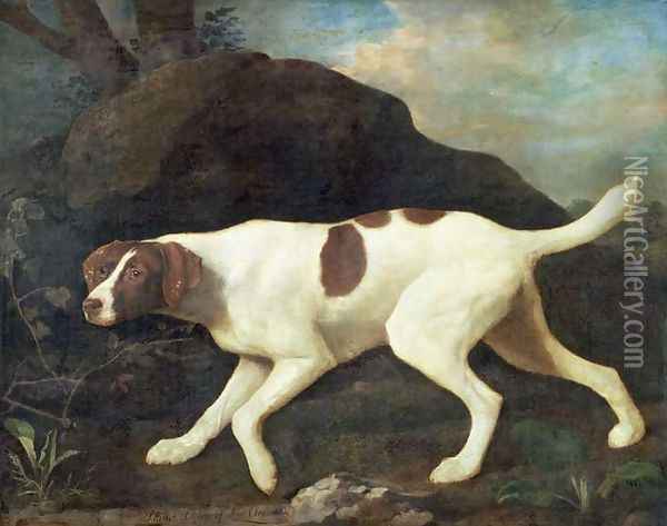 Phillis, a Pointer of Lord Clermonts, 1772 Oil Painting - George Stubbs