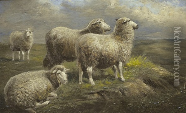 Schafe Auf Der Weide Oil Painting - Eugene Verboeckhoven