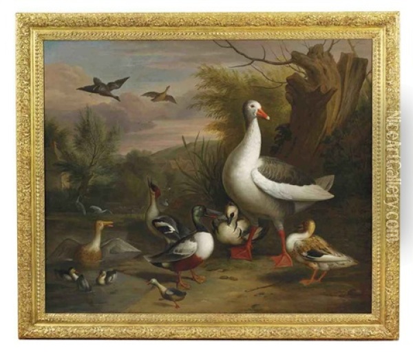 A Goose, Eider, Grebe And Other Fowl Beside A Pond Oil Painting - Jakob Bogdani