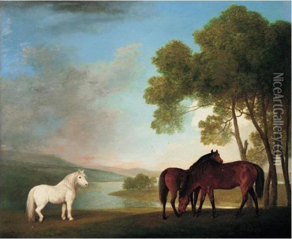 Two Mares And A Pony In A River Landscape Oil Painting - George Stubbs