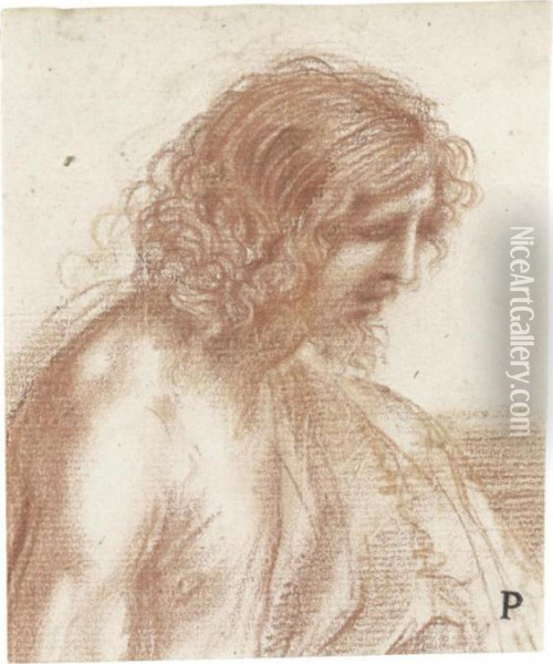Study For A Figure Of St. John The Baptist, Head Andshoulders Oil Painting - Guercino