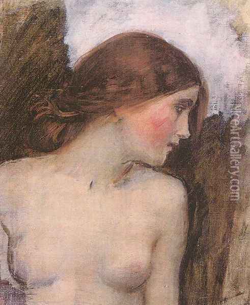 Study for the Head of Echo 1903 Oil Painting - John William Waterhouse