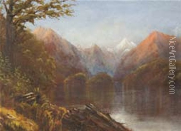 Views Of Smith's Sound, West Coast Nz (pair) Oil Painting - John Mcintosh Madden