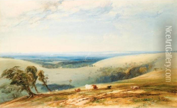 Bow Hill On The Sussex Downs, Chichester And The Isle Of Wight Beyond Oil Painting - Anthony Vandyke Copley Fielding