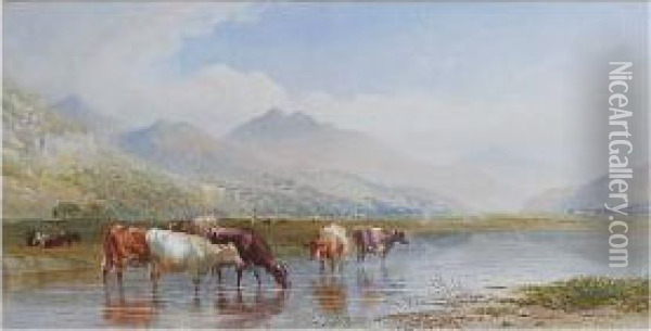 Cattle Watering Oil Painting - Cornelius Pearson
