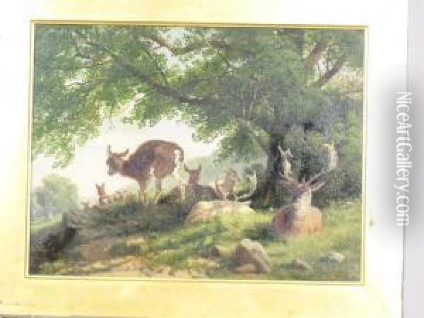 Deer Under Trees Oil Painting - Richard Beavis