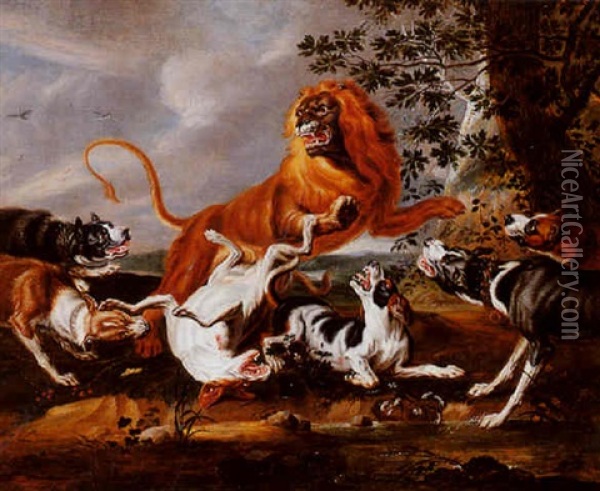 Hounds Attacking A Lion Oil Painting - Pieter Boel