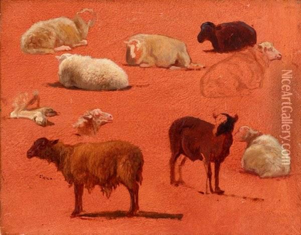 Untitled (sketches Of Sheep) Oil Painting - Rosa Bonheur