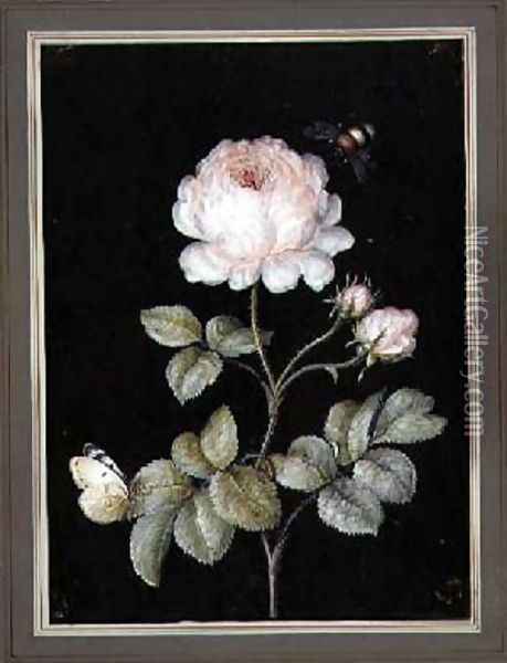 Rose with Bumble Bee and Butterfly Oil Painting - Ernst Friedrich Carl Lang
