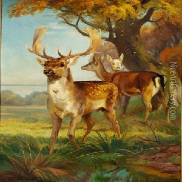 Fallow Bucks In The Woods Oil Painting - Adolf Henrik Mackeprang