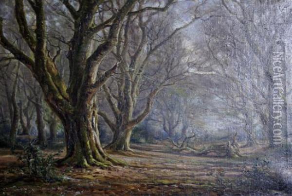 Woodland Scene Oil Painting - Frederik Golden Short