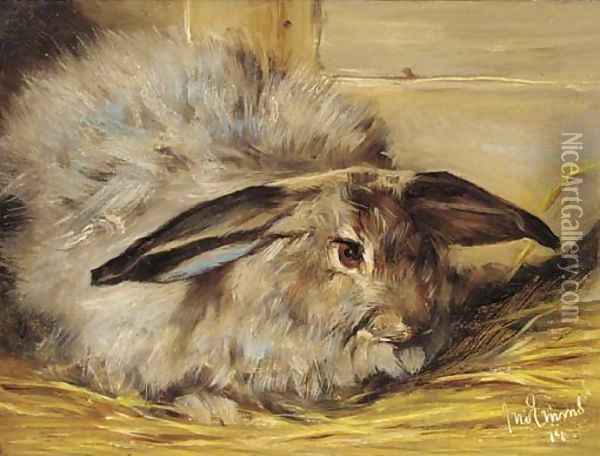 A rabbit Oil Painting - John Emms