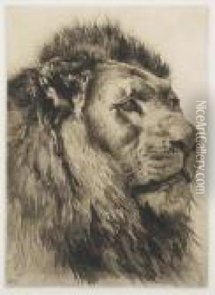 Head Of A Lion Oil Painting - Herbert Thomas Dicksee