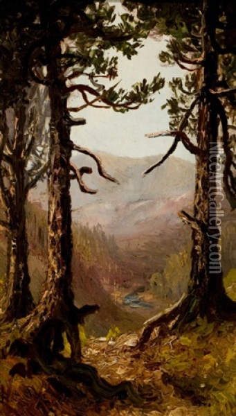 Adirondack Landscape Oil Painting - Ralph Albert Blakelock
