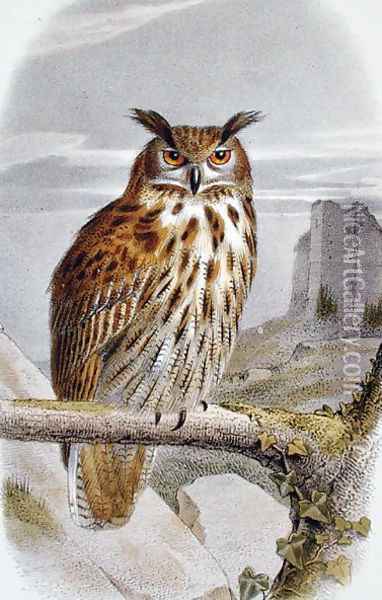 Eurasian Eagle Owl Bubo Bubo Oil Painting - Edouard Travies