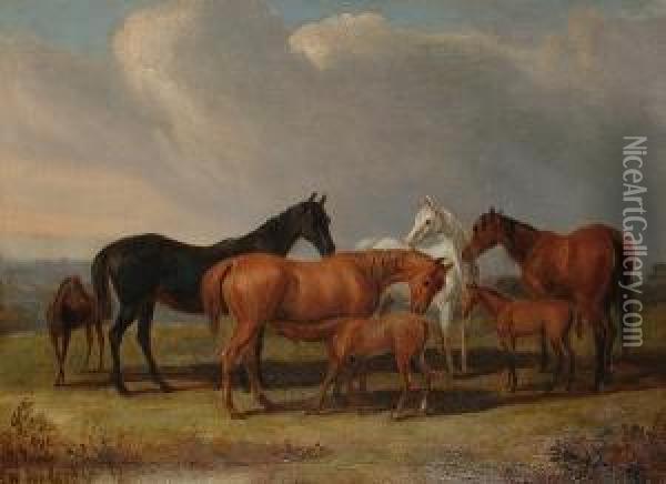 Horses In A Landscape Oil Painting - John Jnr. Ferneley