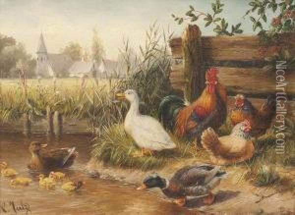 Hahn Mit Hennen Und Enten Oil Painting - Carl Jutz