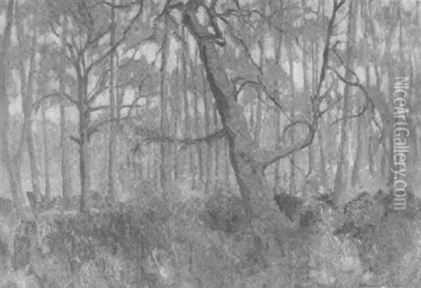 Markischer Wald Im Vorfruhling Oil Painting - Franz Hoffmann-Fallersleben