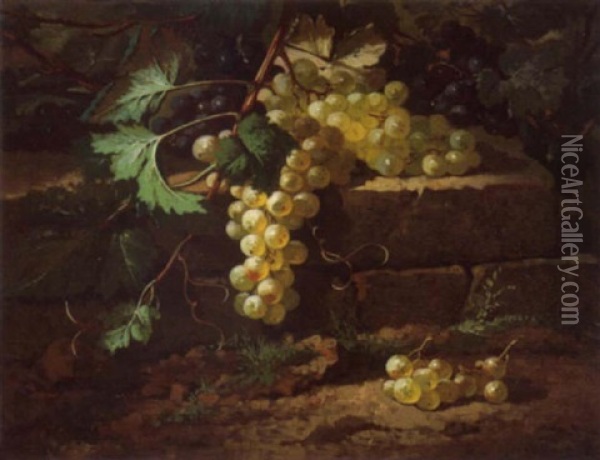 Grappe De Raisin Oil Painting - Edmond De Koninck