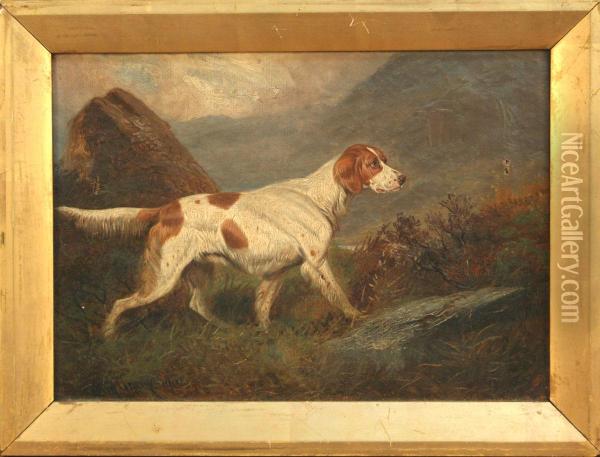 Study Of A Setter In A Moorland Landscape Oil Painting - Colin Graeme Roe