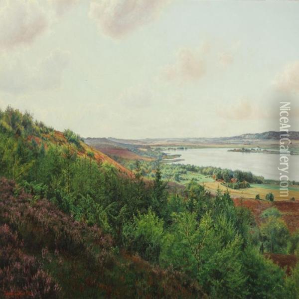 View Over Lake In Silkeborg Oil Painting - Adolf Larsen