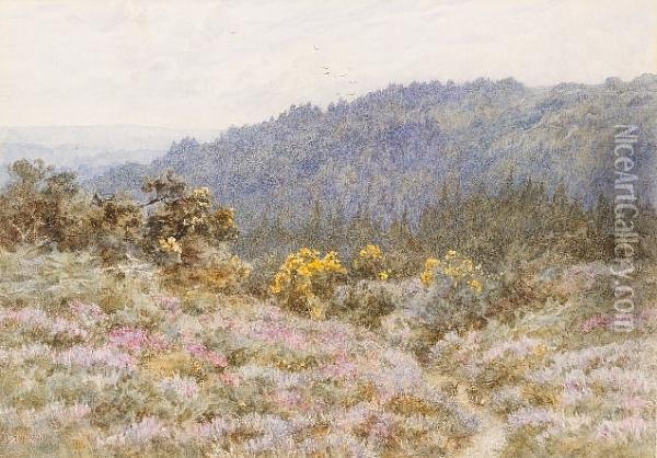 Tennyson's Woods At Blackdown, Near Haslemere, Surrey Oil Painting - Helen Mary Elizabeth Allingham