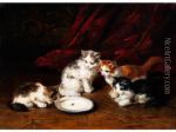 Vier Katzchen An Einem Milchteller Mit Fliege Oil Painting - Alphonse de Neuville
