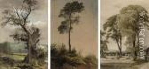 Three Studies Of Trees In Various Landscapes (all Illustrated) Oil Painting - Waller Hugh Paton
