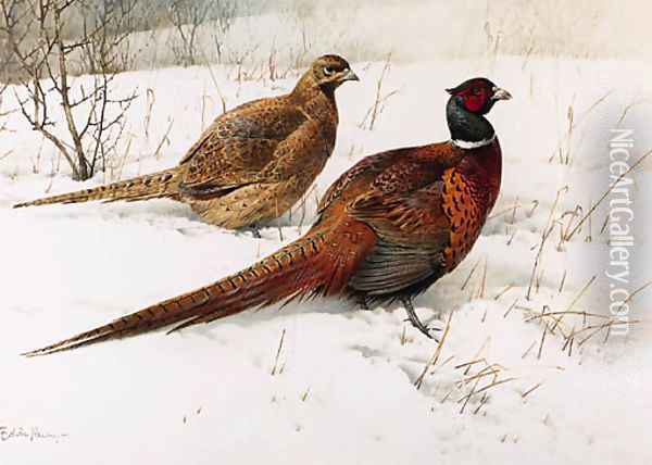 A Cock and Hen Pheasant in the Snow Oil Painting - Edward Penny