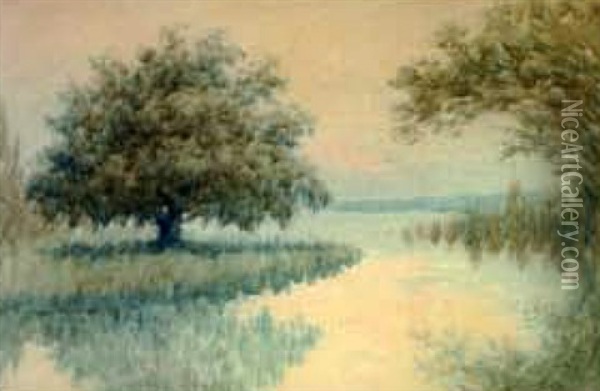 Louisiana Bayou Scene With Live Oak And Cypress Trees Oil Painting - Alexander John Drysdale