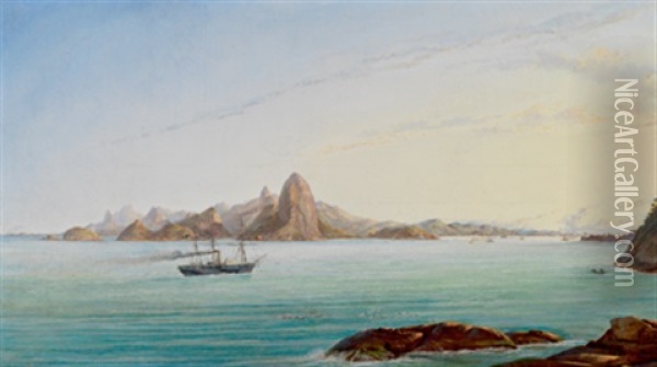 Blick In Den Golf Von Rio De Janeiro Oil Painting - Nicolau Antonio Facchinetti