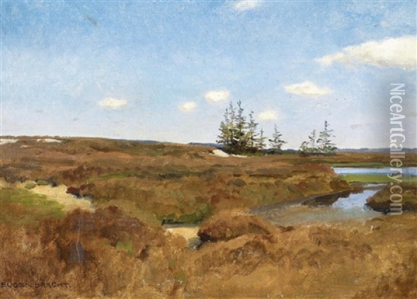 Heidemoor Oil Painting - Eugen Felix Prosper Bracht