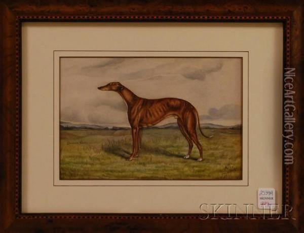 Duncan Grey 
/portrait Of A Hound Oil Painting - Arthur Fitzwilliam Tait