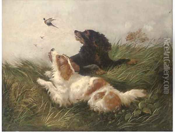 Spaniels flushing pheasants Oil Painting - John Morris