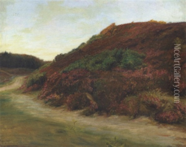 Lyngbevokset Hedebakke Oil Painting - Carl Vilhelm Holsoe