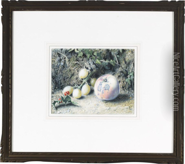 Holly And Fruit On A Mossy Bank Oil Painting - Mark W. Langlois