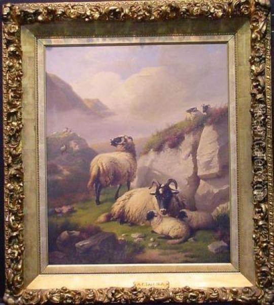 Highland Sheep Oil Painting - Arthur Fitzwilliam Tait