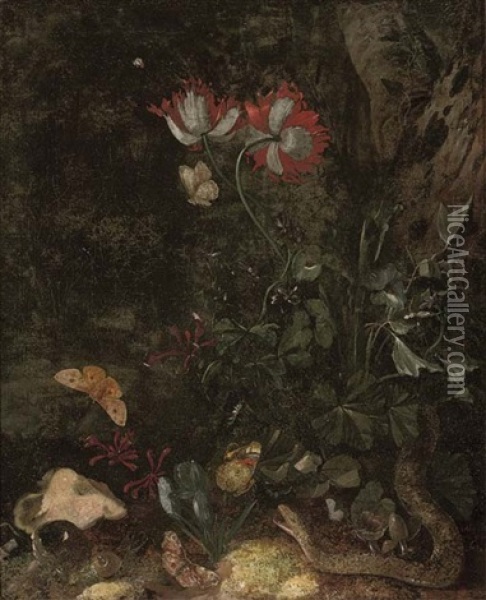 A Forest Floor Still Life With A Snake, A Snail, Butterflies, Poppies And Other Flowers Oil Painting - Otto Marseus van Schrieck