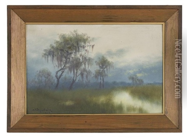 Evening In A Louisiana Swamp Oil Painting - Alexander John Drysdale