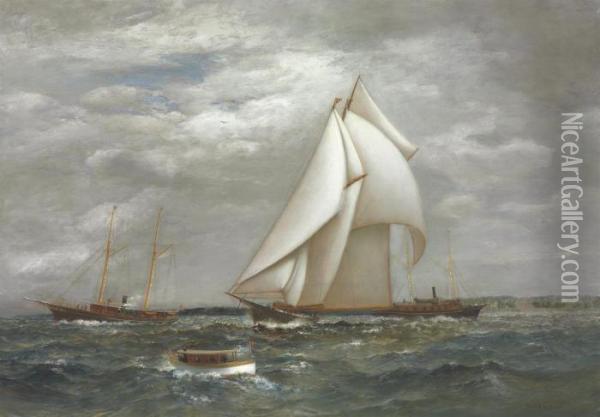 A Centerboard Schooner Of The New York Yacht Club Oil Painting - James Gale Tyler