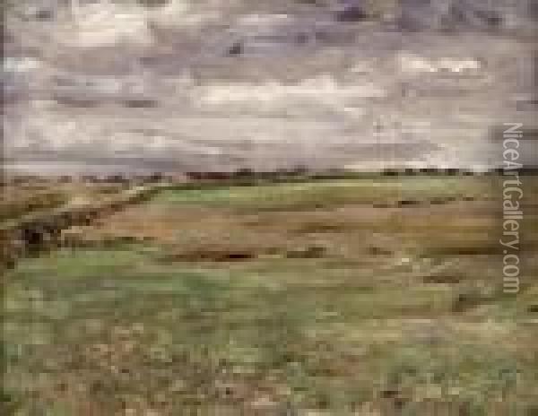 Fields Near Broomieknowe Oil Painting - William McTaggart