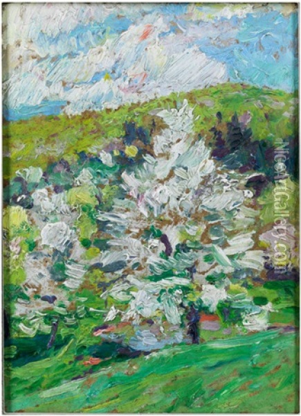 Marillenblute In Der Wachau Oil Painting - Rudolf Junk